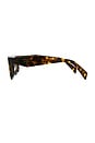 view 3 of 3 Rectangular Sunglasses in Honey Tortoise & Dark Brown