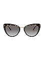 view 1 of 3 Catwalk Cinema Evolution in Black, Havana & Grey Gradient