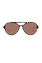 view 1 of 3 GAFAS DE SOL CINEMA EVOLUTION in Caramel Havana, Pale Gold & Light Brown