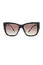 view 1 of 3 Classic in Black, Medium Tortoise, & Grey Gradient