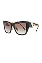 view 2 of 3 Classic in Black, Medium Tortoise, & Grey Gradient