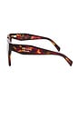 view 3 of 3 СОЛНЦЕЗАЩИТНЫЕ ОЧКИ in Poppy Tortoise