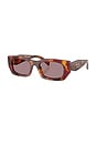 view 2 of 3 サングラス in Poppy Tortoise
