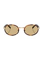 view 1 of 3 Circular Sunglasses in Root Tortoise