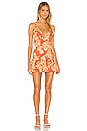 view 1 of 3 Dee Mini Dress in Coral Renee Floral