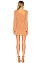 view 3 of 3 Chloe Mini Dress in Tan