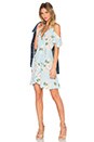 view 4 of 4 Delta Dress in Gramont
