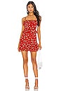 view 1 of 3 Dakota Mini Dress in Red Emma Floral