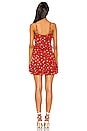 view 3 of 3 Dakota Mini Dress in Red Emma Floral