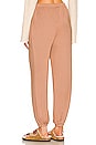 view 3 of 4 PANTALON MARGOT in Tan