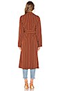 view 4 of 4 Cassidy Trench in Tan Stripe