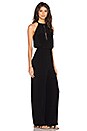 view 2 of 4 Jefferson Jumpsuit in Osiris