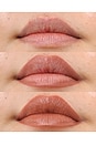 view 4 of 7 Lip Plump and Fill Up Liner in Nudie