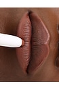 view 3 of 3 Lip Plump and Fill Up Liner in Crave