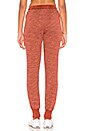 view 3 of 4 Bonfire Skinny Jogger in Mineral Wash Marsala