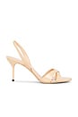 view 1 of 5 Lidia Slingback Sandal 70 in Honey