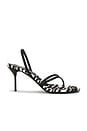 view 1 of 5 Lidia Thong Slingback Sandal 70 in White Zebra