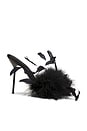 view 1 of 5 Lidia Feather Mule 105 in Black
