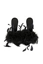 view 4 of 5 Lidia Feather Mule 105 in Black