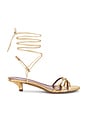 view 1 of 5 Linda Lace Up 35 Sandal Sandal in Gold