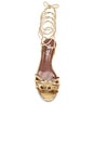 view 4 of 5 Linda Lace Up 35 Sandal Sandal in Gold