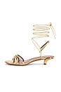 view 5 of 5 Linda Lace Up 35 Sandal Sandal in Gold