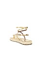view 3 of 5 Hydra Flat Sandal in Gold & Naturale