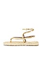 view 5 of 5 Hydra Flat Sandal in Gold & Naturale