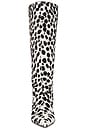 view 4 of 5 Nina Calf Hair Boot 50 in White Cheetah