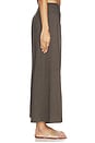 view 3 of 6 PANTALON CALLA in Coffee