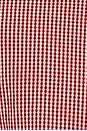 view 4 of 4 Lori Dress in Red Gingham