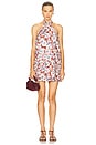 view 1 of 3 Luna Halter Mini Dress in Lily Garden