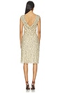 view 3 of 4 MINIVESTIDO LEO in Cheetah