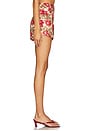 view 3 of 6 Rosalie Short in Rose Bud