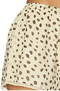 view 6 of 6 Priscilla Short in Cheetah