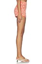 view 4 of 6 Lexi Short in Red Leopard