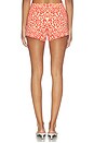 view 5 of 6 Lexi Short in Red Leopard