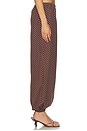 view 3 of 6 PANTALON EVIE in Chocolate Vanilla