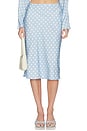 view 1 of 6 Leo Skirt in Blue Polka Dot