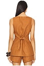 view 3 of 4 Lorenzo Vest in Chestnut