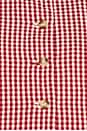 view 5 of 5 Rio Top in Red Gingham