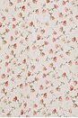 view 5 of 5 Charlotte Top in Watercolour Floral