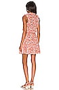 view 4 of 4 Triny Mini Dress in Yellow Dalia