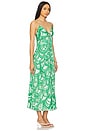 view 2 of 4 Denise Maxi Dress in Green Himba