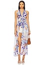 view 1 of 6 Caliz Maxi Dress in Blue Macro Lilium
