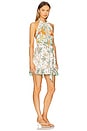 view 2 of 3 Cassandra Mini Dress in Green Equator