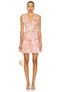 view 1 of 3 Cara Mini Dress in Pink Karibia