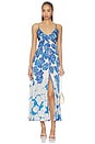 view 1 of 4 Denise Long Dress in Blue Flower Bunch