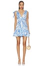 view 1 of 3 Cara Mini Dress in Blue Palm Leaf