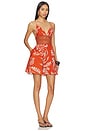 view 2 of 4 Emilie Mini Dress in Paprika Austral